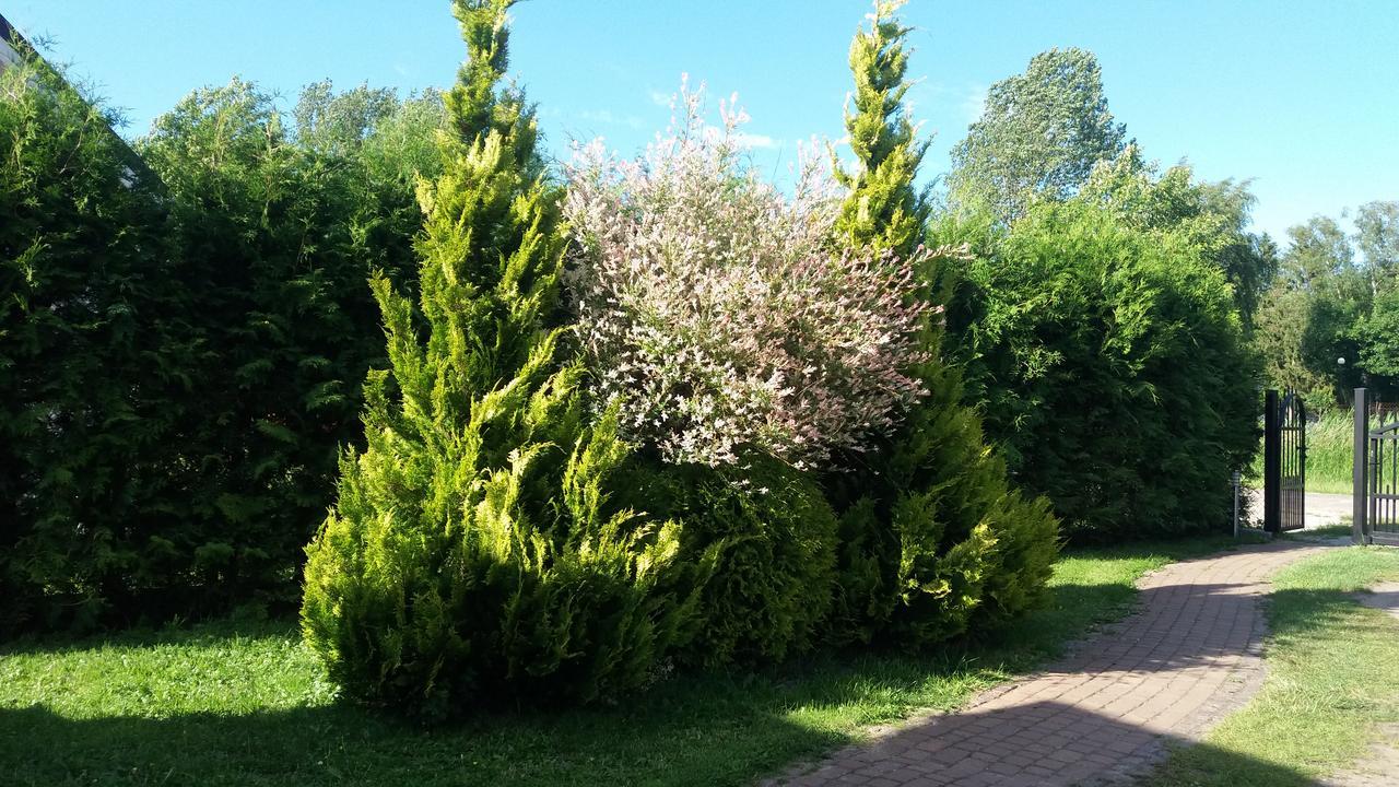 Diament Rogowo Villa Rogowo  Exterior foto